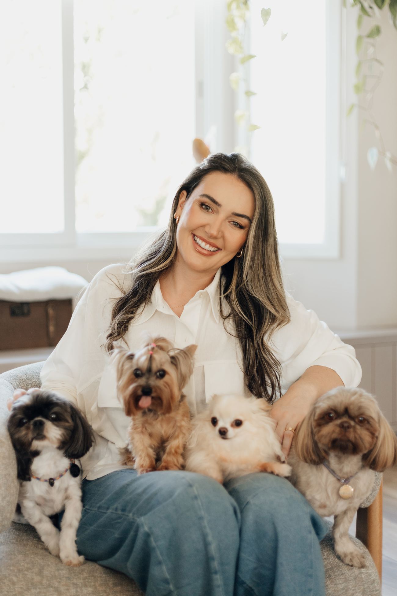 Daniela sentada com quatro cães pequenos no colo